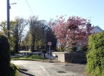 Middle Tollymore Road approaching the... © Eric Jones :: Geograph Britain and Ireland Middle Tollymore Road approaching the...... 