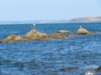 The sea at Bucks Mills (C) Sandy B :: Geograph Britain and Ireland The sea at Bucks Mills (C) Sandy B