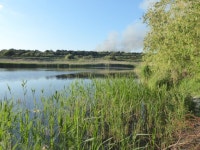 Smoke over Thamesmere © Marathon :: Geograph Britain and Ireland Smoke over Thamesmere &copy; Marathon