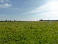 Buttercups, blue skies, and high cloud © Bob Harvey :: Geograph Britain and Ireland Buttercups, blue skies, and high cloud... 