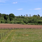 Shropshire farmland east of Stableford © Roger Kidd cc-by-sa/2.0 :: Geograph Britain and Ireland Shropshire farmland east of... 