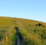 Public Bridleway 3094 © Simon Carey :: Geograph Britain and Ireland Public Bridleway 3094 &copy; Simon Carey