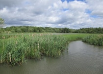 Perchy Pond © Alan ODowd :: Geograph Britain and Ireland Perchy Pond &copy; Alan ODowd