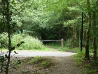 Bridleway crossing of Hosey Common Lane © Robin Webster cc-by-sa/2.0 :: Geograph Britain and Ireland Bridleway crossing of Hosey... 