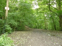 The Leeds Country Way in Howden Clough © Stephen Craven cc-by-sa/2.0 :: Geograph Britain and Ireland The Leeds Country Way in... 