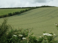 Field boundaries above Kilham Bottom © Christine Johnstone :: Geograph Britain and Ireland Field boundaries above Kilham Bottom... 