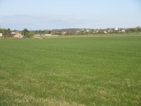 Grassy field near Maryton © Scott Cormie cc-by-sa/2.0 :: Geograph Britain and Ireland Grassy field near Maryton &copy; Scott... 