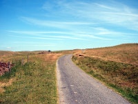 Road across the grassland © John Lucas :: Geograph Britain and Ireland Road across the grassland &copy; John Lucas