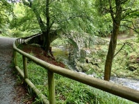 Foleys Bridge, Tollymore Park © Eric Jones cc-by-sa/2.0 :: Geograph Britain and Ireland Foleys Bridge, Tollymore Park... 
