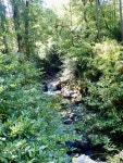 The Spinkwee above Hores Bridge © Eric Jones cc-by-sa/2.0 :: Geograph Britain and Ireland The Spinkwee above Hores Bridge... 