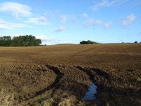 Hillside field near Bedale Wood Farm © JThomas cc-by-sa/2.0 :: Geograph Britain and Ireland Hillside field near Bedale Wood Farm... 