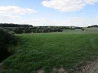 Grass field near Blatherwycke © Jonathan Thacker :: Geograph Britain and Ireland Grass field near Blatherwycke &copy; Jonathan... 
