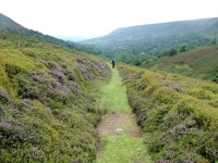 Bridleway down the Olchon valley © Oliver Dixon :: Geograph Britain and Ireland Bridleway down the Olchon valley &copy; Oliver Dixon