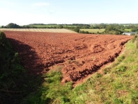 Freshly ploughed field at Whelmstone... © Roger Cornfoot :: Geograph Britain and Ireland Freshly ploughed field at Whelmstone...... 