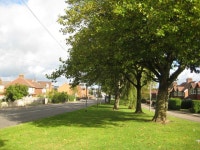 Trees along Kirkby Folly Road © Jonathan Thacker cc-by-sa/2.0 :: Geograph Britain and Ireland Trees along Kirkby Folly Road... 