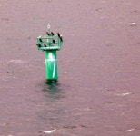 Belfast Lough: Buoy #7 © Gerald England :: Geograph Britain and Ireland Belfast Lough: Buoy #7 &copy; Gerald England