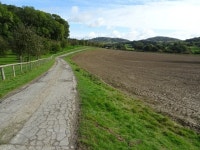 Road to Gold Hill Farm © Philip Halling :: Geograph Britain and Ireland Road to Gold Hill Farm &copy; Philip Halling