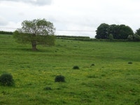 Grazing near the River Bain, Biscathorpe © JThomas :: Geograph Britain and Ireland Grazing near the River Bain, Biscathorpe... 