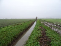 Drain near Millingdale Farm © JThomas cc-by-sa/2.0 :: Geograph Britain and Ireland Drain near Millingdale Farm &copy; JThomas cc... 