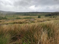 Looking towards the hidden tumulus of... © David Medcalf :: Geograph Britain and Ireland Looking towards the hidden tumulus of..... 