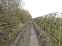 Track beside the A1079 © David Brown :: Geograph Britain and Ireland Track beside the A1079 &copy; David Brown