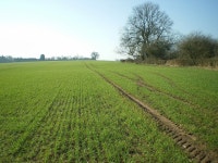 Southwest across a field © Richard Law :: Geograph Britain and Ireland Southwest across a field &copy; Richard Law