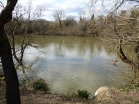 Ifield Mill Pond, Gossops Green, Crawley © Robin Webster :: Geograph Britain and Ireland Ifield Mill Pond, Gossops Green... 