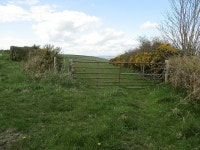 Field Gate and Furze © kevin higgins :: Geograph Britain and Ireland Field Gate and Furze &copy; kevin higgins