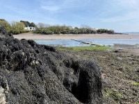 Seaweed-covered rock © Alan Hughes :: Geograph Britain and Ireland Seaweed-covered rock &copy; Alan Hughes