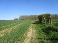 Footpath to Bourne © Jonathan Thacker cc-by-sa/2.0 :: Geograph Britain and Ireland Footpath to Bourne &copy; Jonathan Thacker cc... 