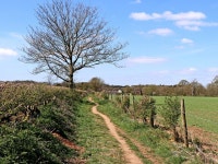 Footpath to Blundies near Enville,... © Roger Kidd cc-by-sa/2.0 :: Geograph Britain and Ireland Footpath to Blundies near... 