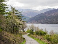 Forest road descending towards shore of... © Trevor Littlewood cc-by-sa/2.0 :: Geograph Britain and Ireland Forest road... 