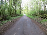 Road approaching Fernie Mill © Peter Wood cc-by-sa/2.0 :: Geograph Britain and Ireland Road approaching Fernie Mill &copy; Peter... 