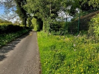 Grass verge along Mellon Road,... © Kenneth  Allen cc-by-sa/2.0 :: Geograph Britain and Ireland Grass verge along Mellon Road,..... 