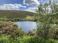 Oak Lough, Gortin © Kenneth  Allen :: Geograph Britain and Ireland Oak Lough, Gortin &copy; Kenneth  Allen