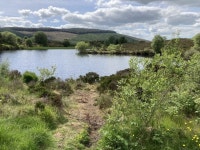New Lough, Lenamore © Kenneth  Allen :: Geograph Britain and Ireland New Lough, Lenamore &copy; Kenneth  Allen