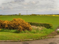 Farmland adjacent to the A1068 between... © David Dixon cc-by... adjacent to the A1068 between... &copy; David Dixon cc-by-sa/2.0