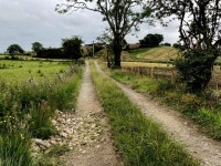 Rough lane, Bancran © Kenneth  Allen cc-by-sa/2.0 :: Geograph Britain and Ireland Rough lane, Bancran &copy; Kenneth  Allen cc... 