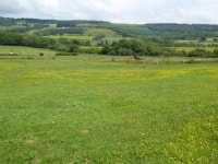 Farmland at Newmeadow Farm © Philip Halling cc-by-sa/2.0 :: Geograph Britain and Ireland Farmland at Newmeadow Farm... 