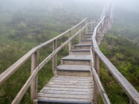 The Cuilcagh Boardwalk © Rossographer :: Geograph Britain and Ireland The Cuilcagh Boardwalk &copy; Rossographer