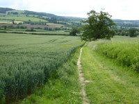 Wardens Way following a field headland © Philip Halling :: Geograph Britain and Ireland Wardens Way following a field headland... 
