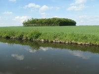 Woodland on the site of Downholland... © Christine Johnstone cc-by-sa/2.0 :: Geograph Britain and Ireland Woodland on the site... 