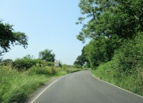 Pelham Lane, take care! © Roy Hughes :: Geograph Britain and Ireland Pelham Lane, take care! &copy; Roy Hughes