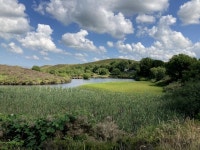New Lough, Gortin © Kenneth  Allen :: Geograph Britain and Ireland New Lough, Gortin &copy; Kenneth  Allen