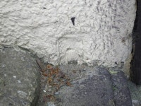 Ordnance Survey Flush Bracket G1707 © Peter Wood cc-by-sa/2.0... Ordnance Survey Flush Bracket G1707 &copy; Peter Wood cc-by-sa/2.0