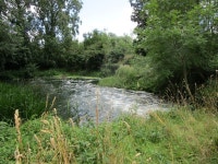 The River Nene below Warminton Mill © Jonathan Thacker :: Geograph Britain and Ireland The River Nene below Warminton Mill... 