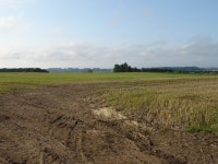 Stubble field, Wellbank © JThomas cc-by-sa/2.0 :: Geograph Britain and Ireland Stubble field, Wellbank &copy; JThomas cc-by-sa/2.0
