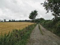 Country Lane © kevin higgins :: Geograph Britain and Ireland Country Lane &copy; kevin higgins