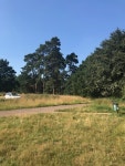 Knettishall Heath © Dave Thompson :: Geograph Britain and Ireland Knettishall Heath &copy; Dave Thompson