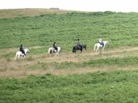 Horse riders on Painscastle Hill © Oliver Dixon cc-by-sa/2.0 :: Geograph Britain and Ireland Horse riders on Painscastle Hill... 